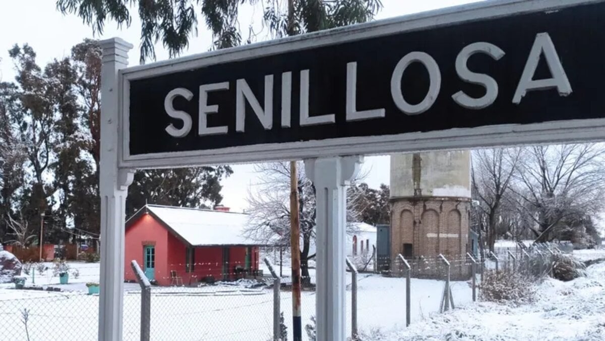 senillosa cops - lmn 5