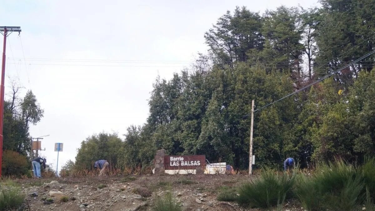 las balsas - diario 7 lagos 2