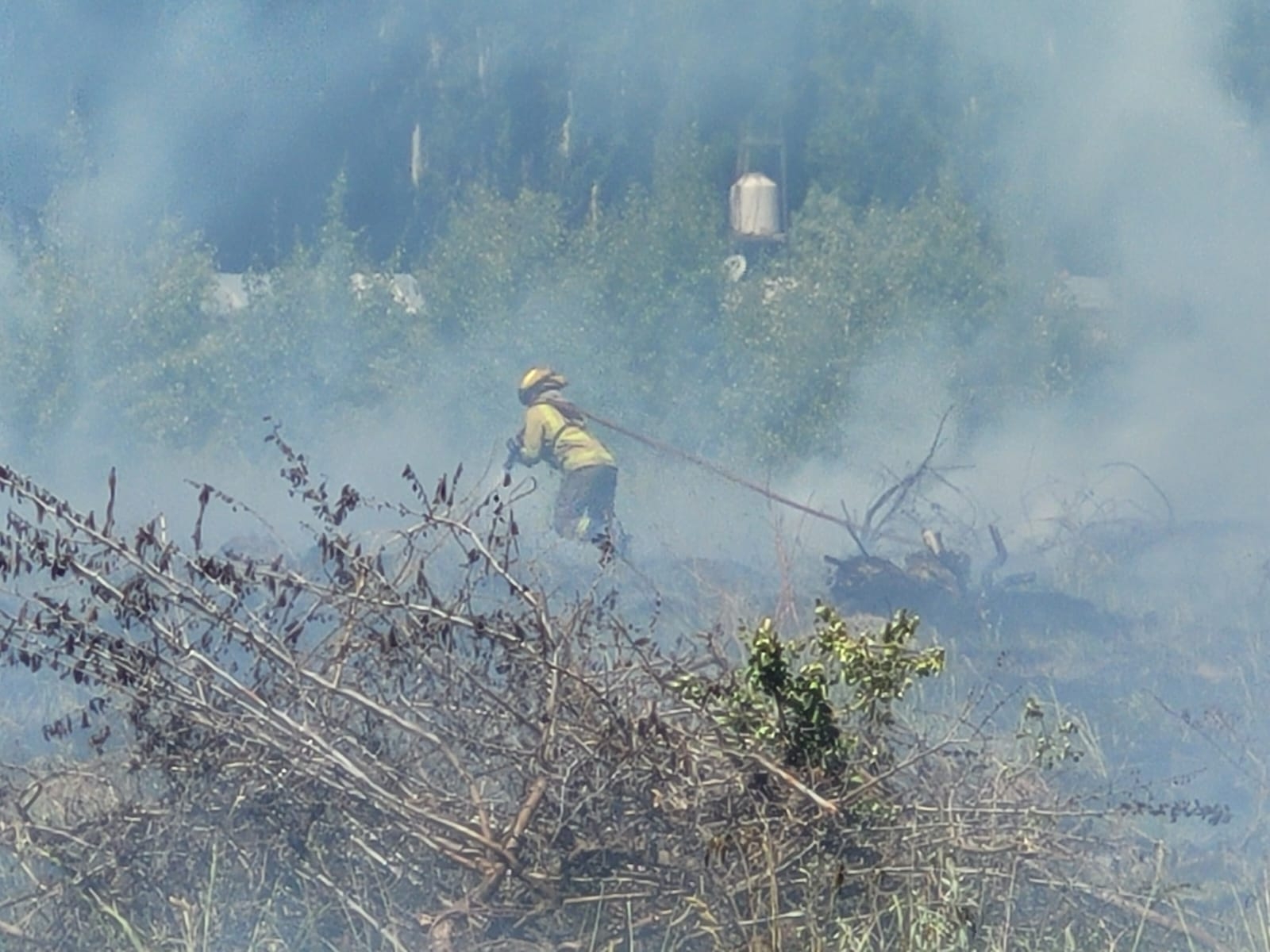 incendio 3