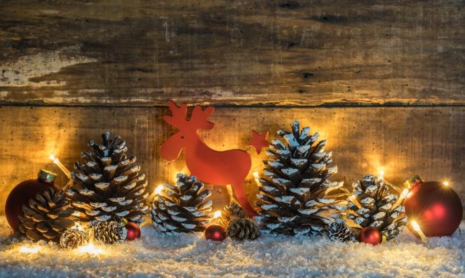decoracion-navidad-pinas-secas-1-668x400x80xX