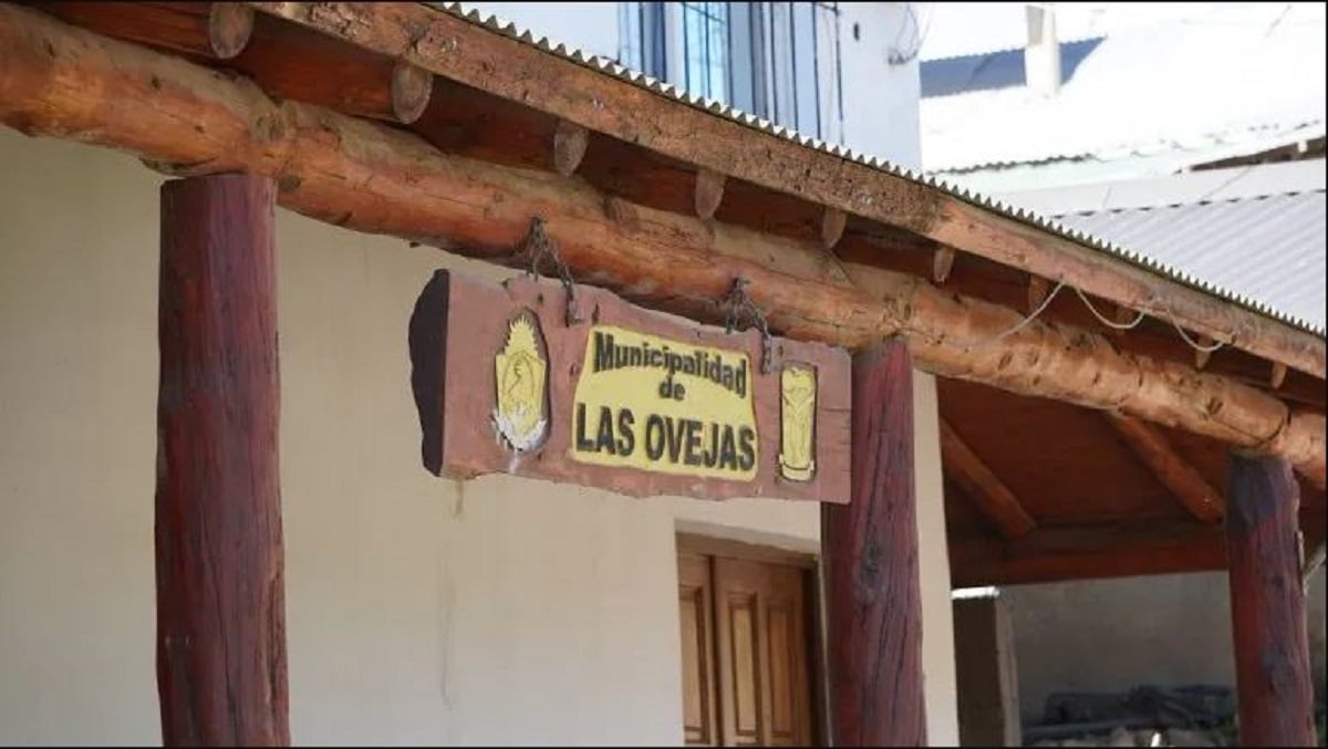 las ovejas face