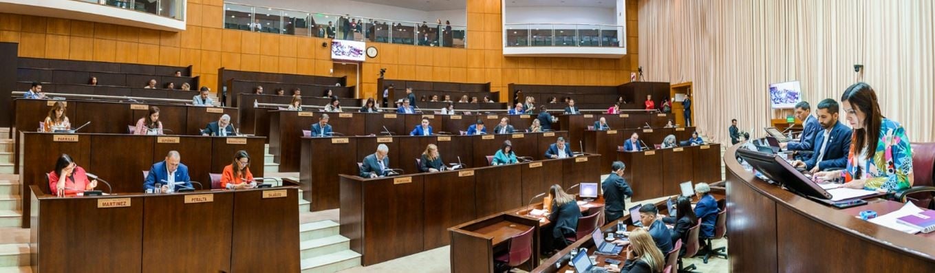 coparticipacion legislatura