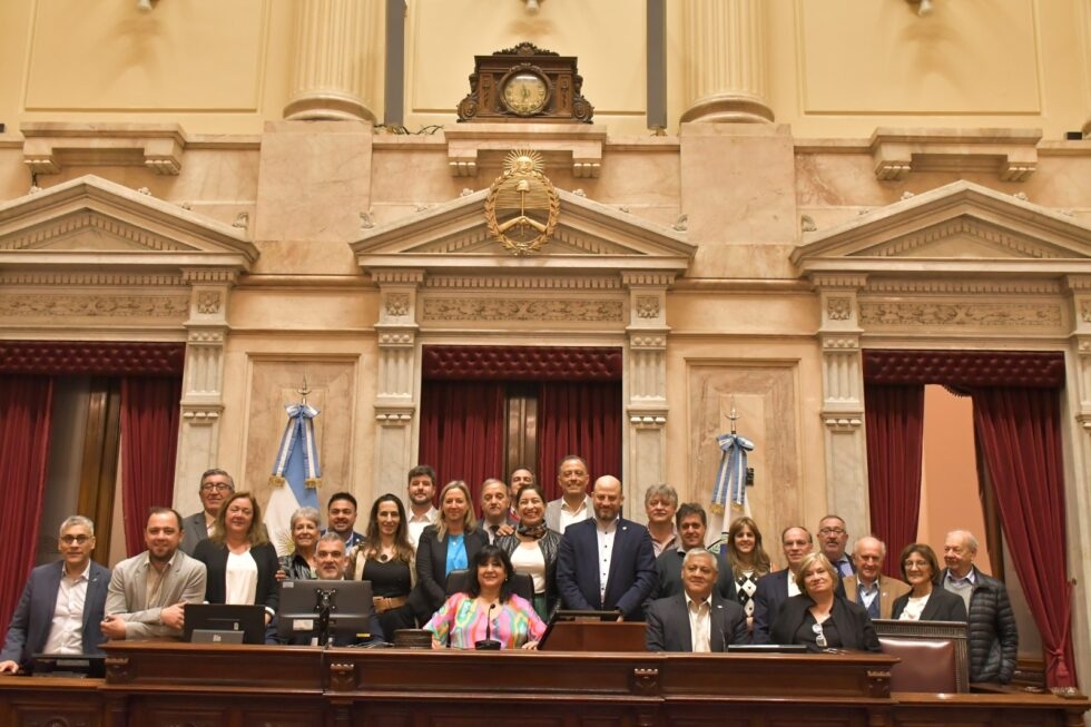 senado-5-980x653