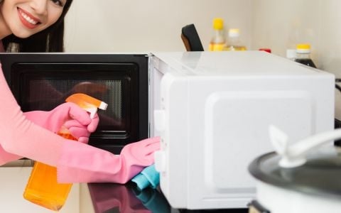 Como-limpiar-tu-horno-de-microondas