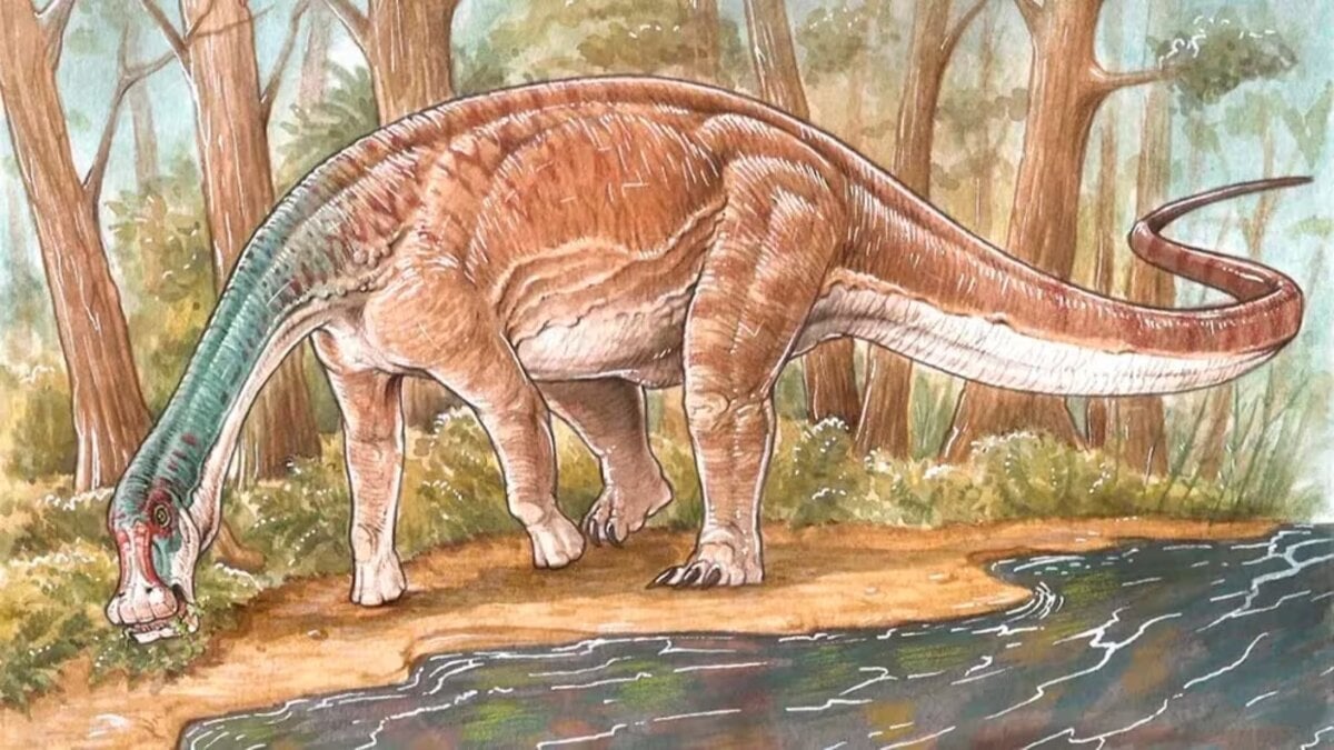 dino - conicet