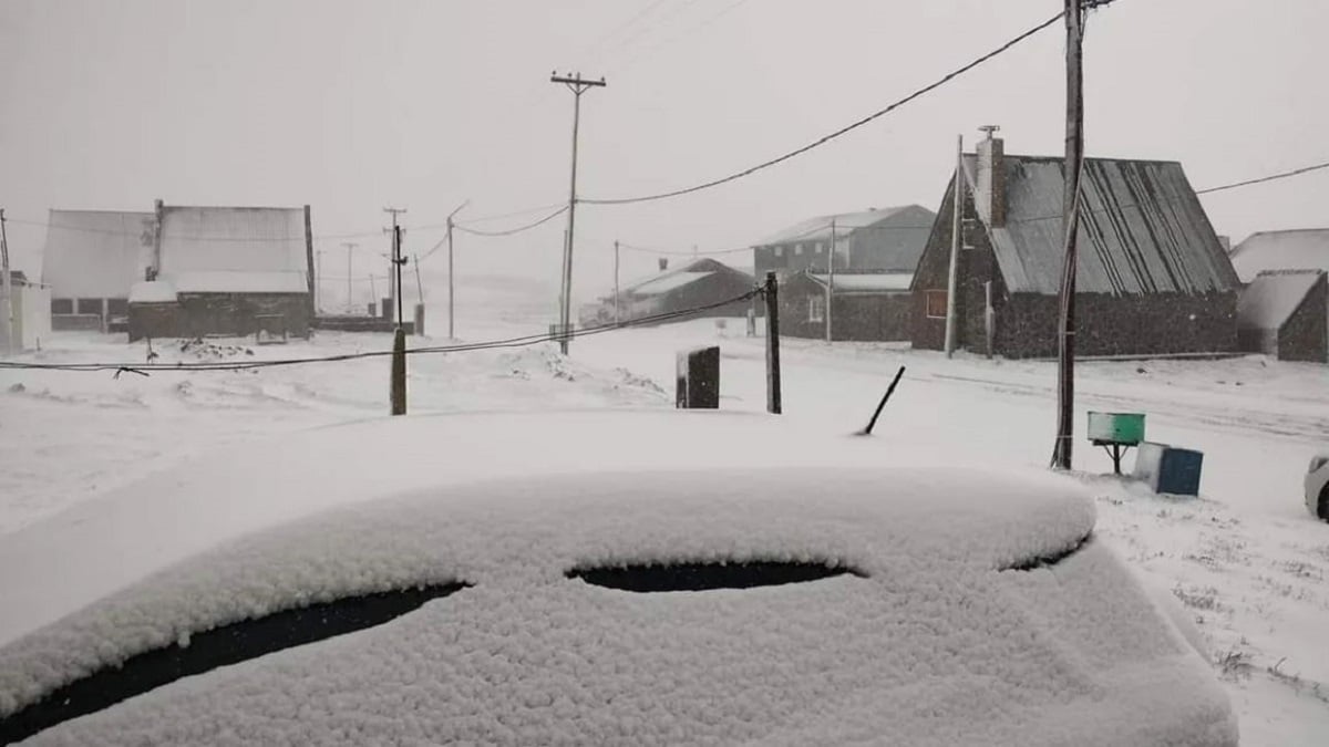 nieve X