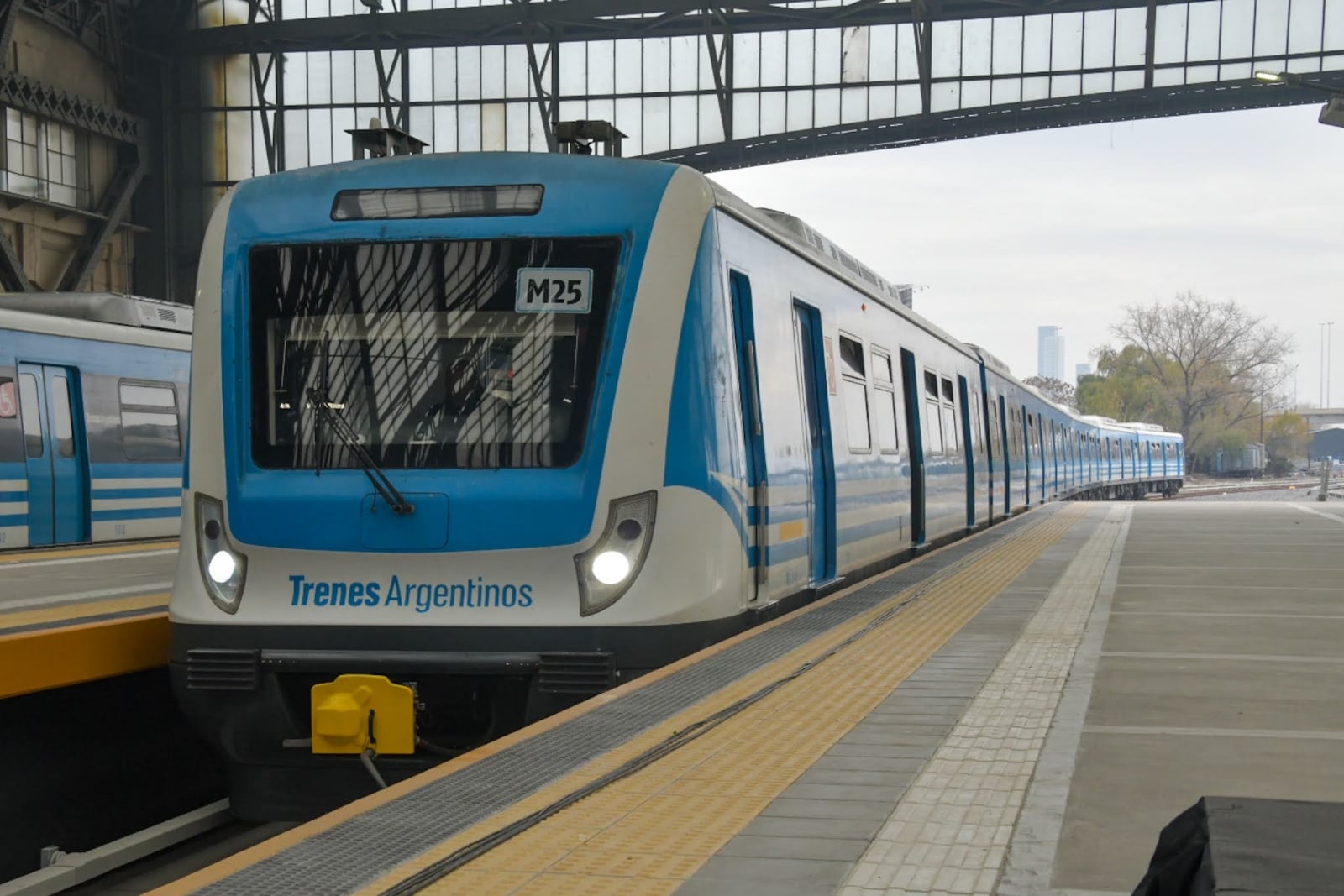 tren-mitre-retiro