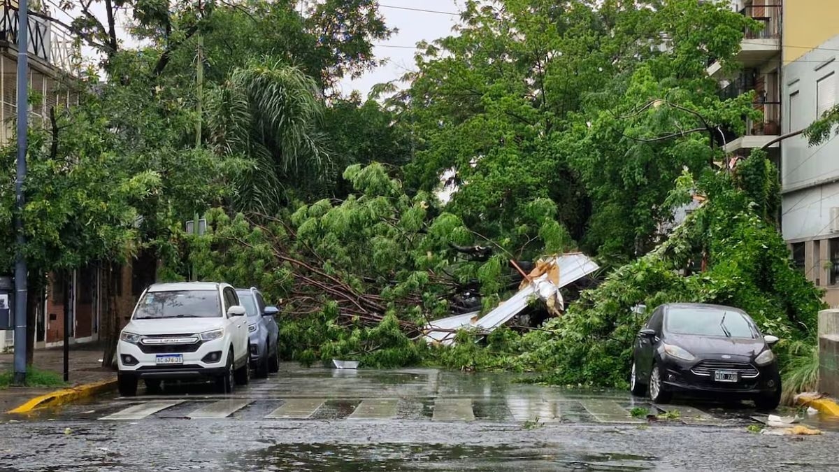 las-imagenes-mas-impactantes-del-temporal-bahia-blanca