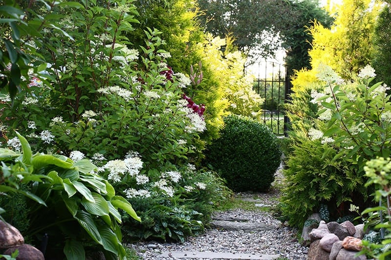 plantas-exterior-sombra-02a-a