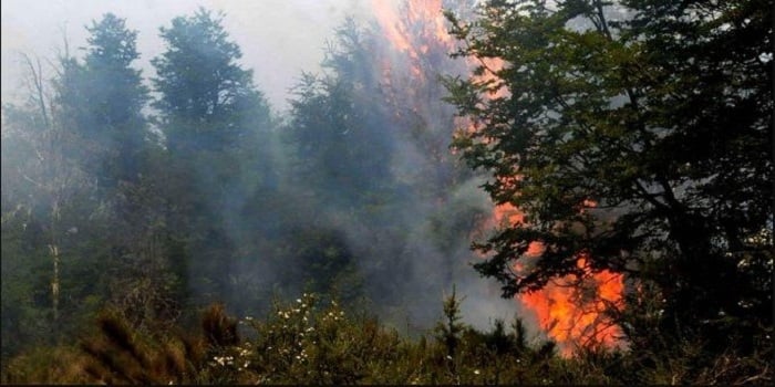 incendio la voz