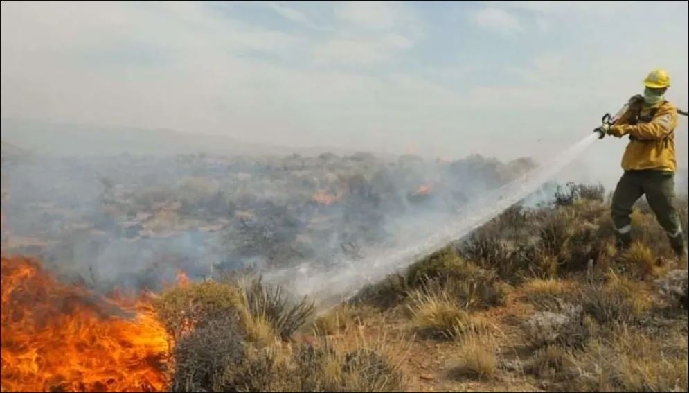 incendio diariamente nqn