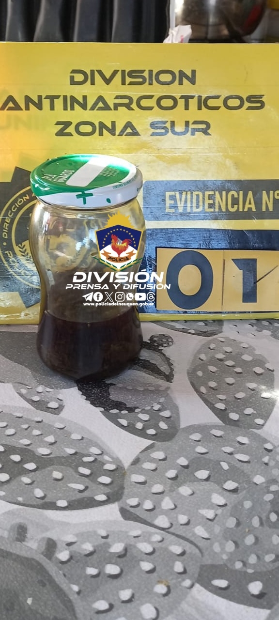 zapala 2