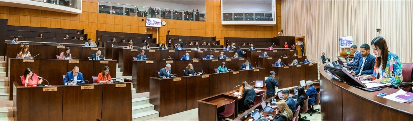 parrilli legislatura nqn