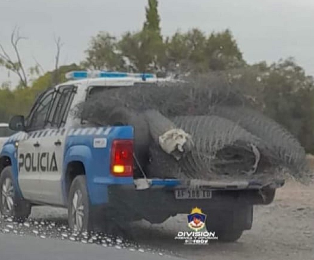 allanamientos en centenario - copia - copia