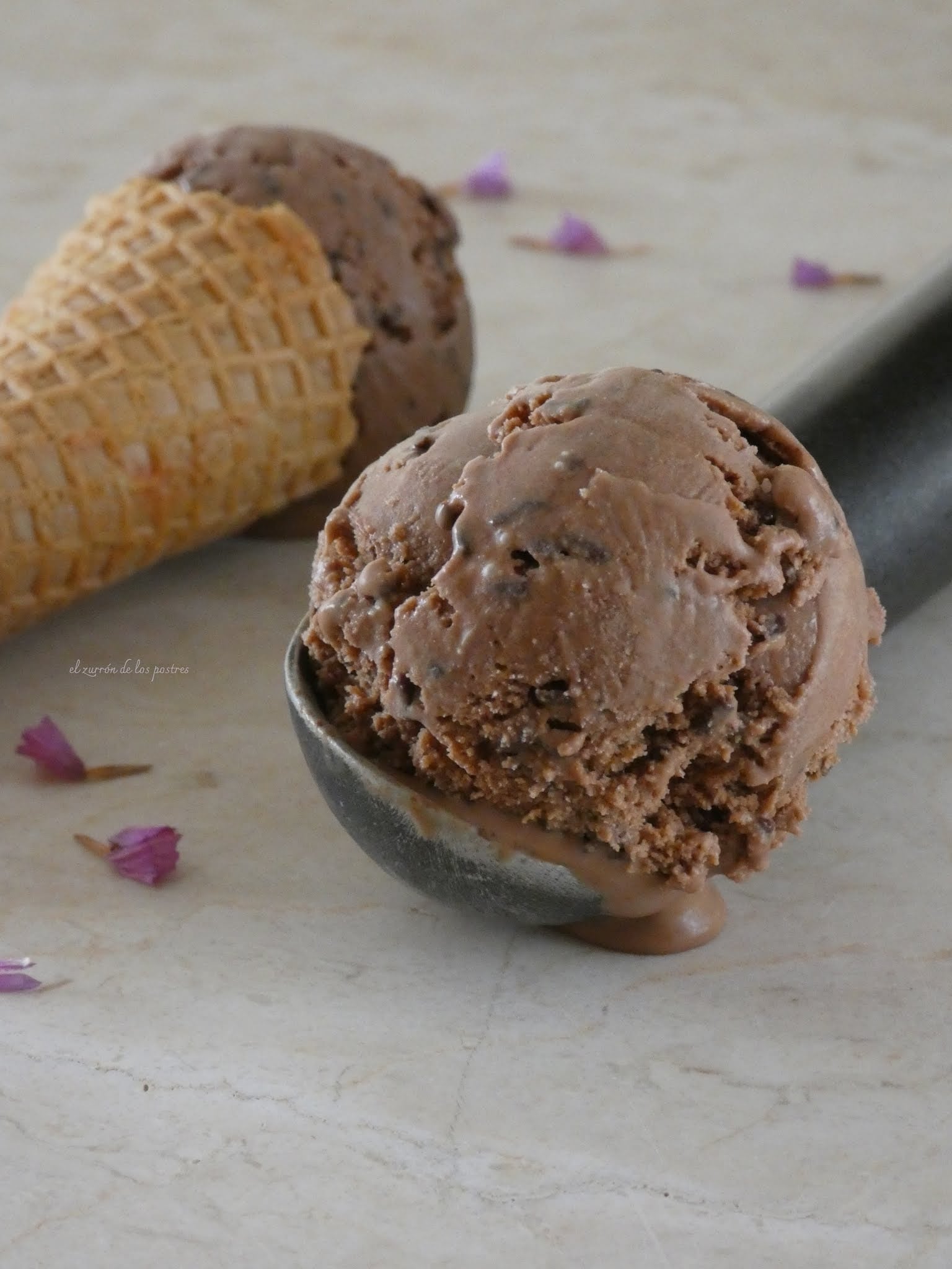 Helado de Chocolate y Dulce de Leche 25