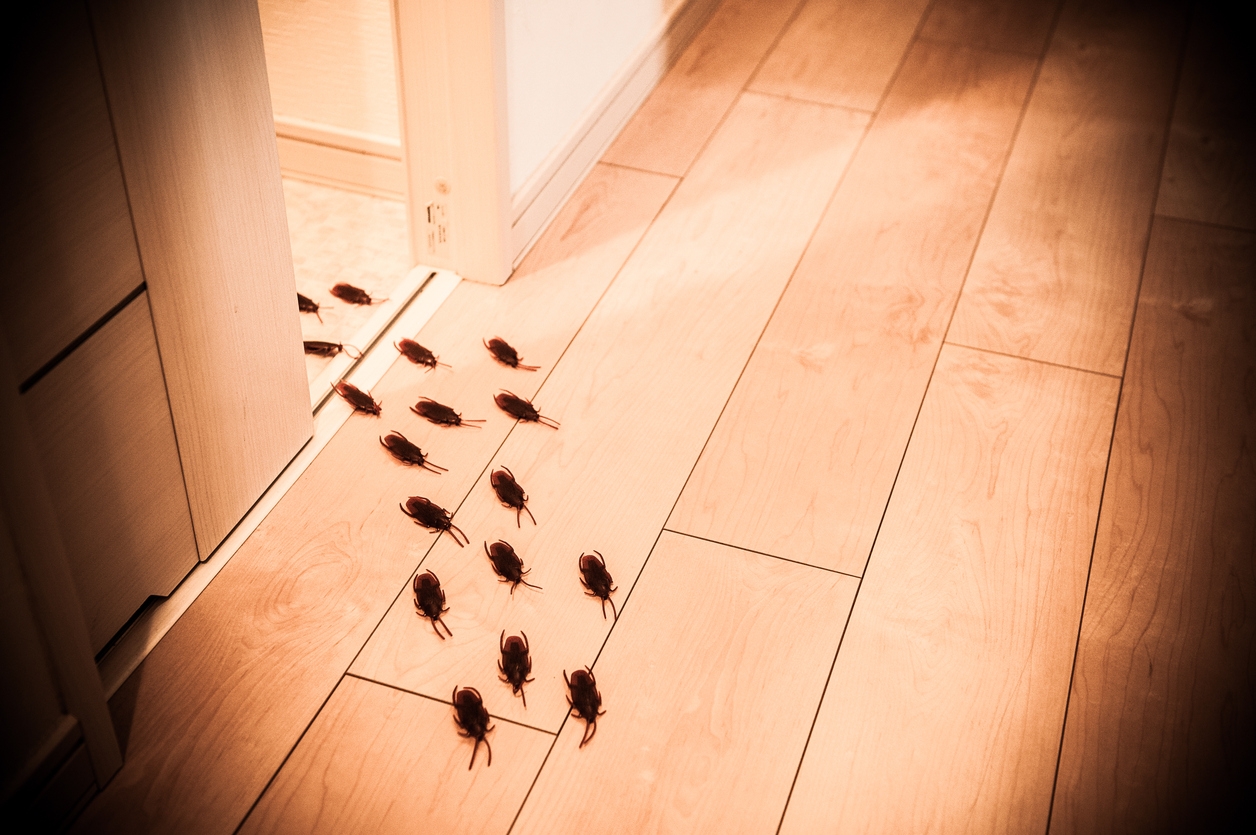 iStock-519432996