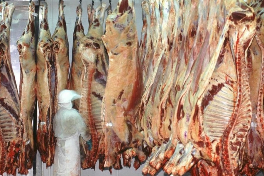 carne inflacion febrero corrientes hoy