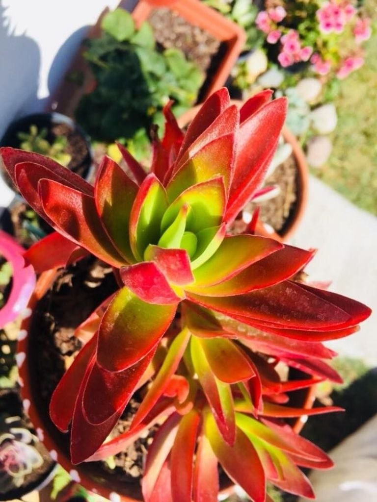 f768x1-12927_13054_5050