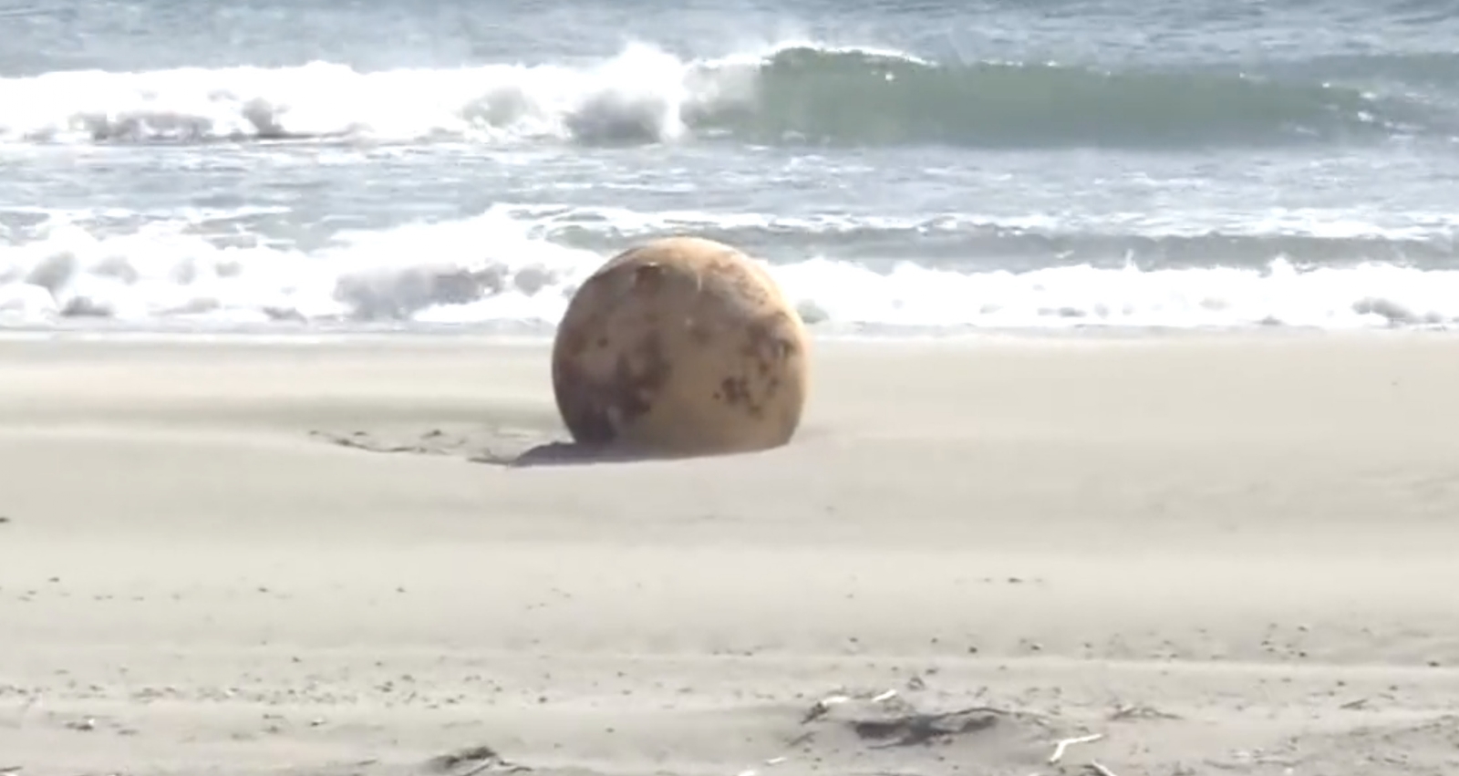 Sphere-Japan-Beach