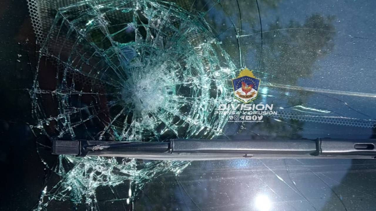 Policía de Neuquén 2