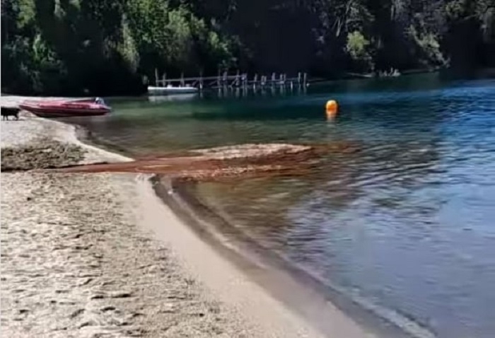 contaminacion lago diario andino
