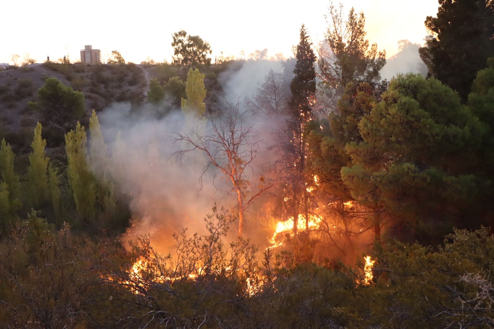 Incendio en Parque Norte de la ciudad de Neuquén (8)