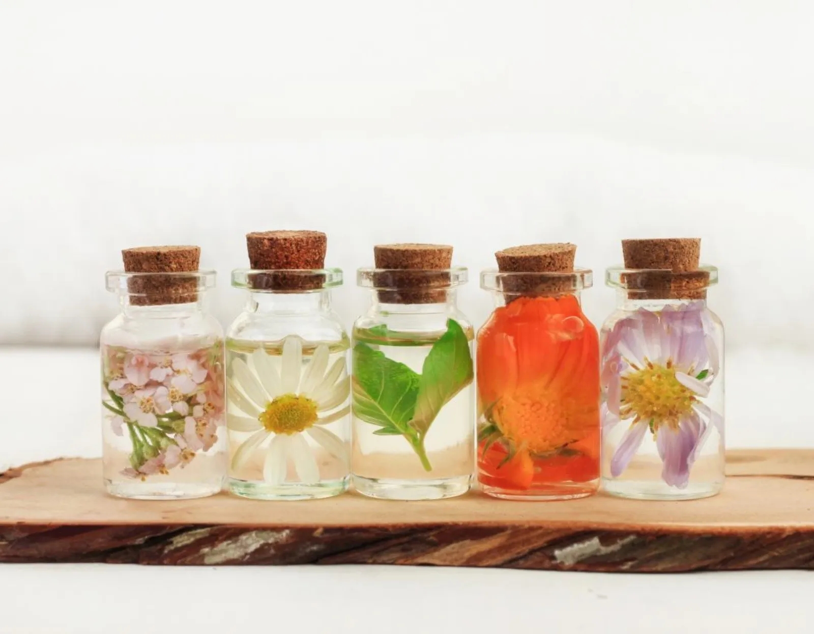 www.minutoneuquen.com.ar aroma00