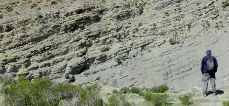 f768x1-592649_592776_0