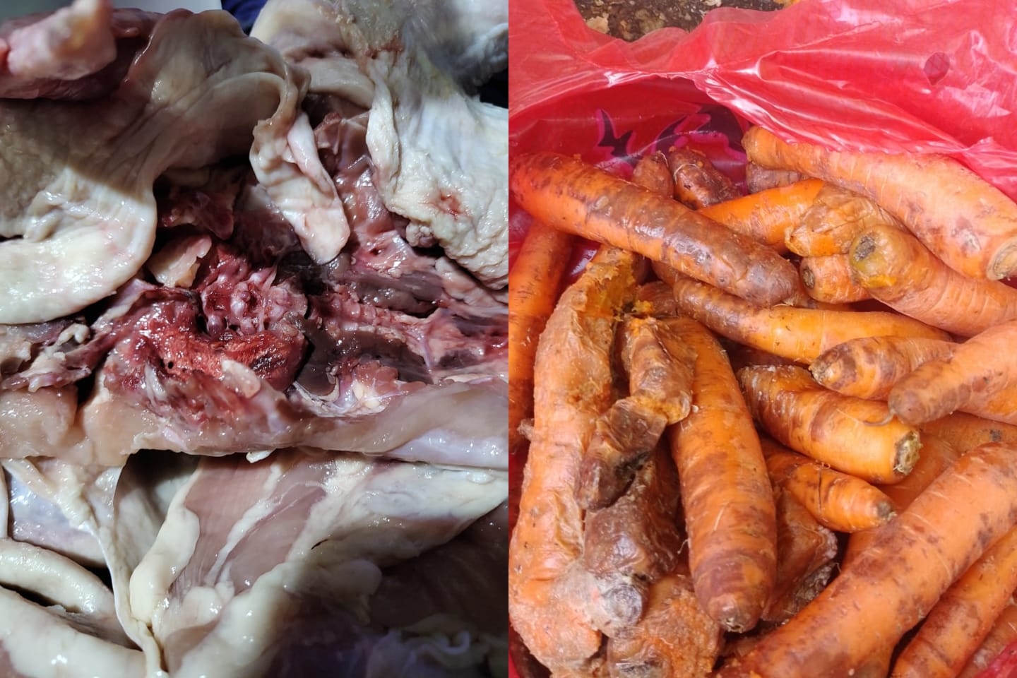 pollo y verdura
