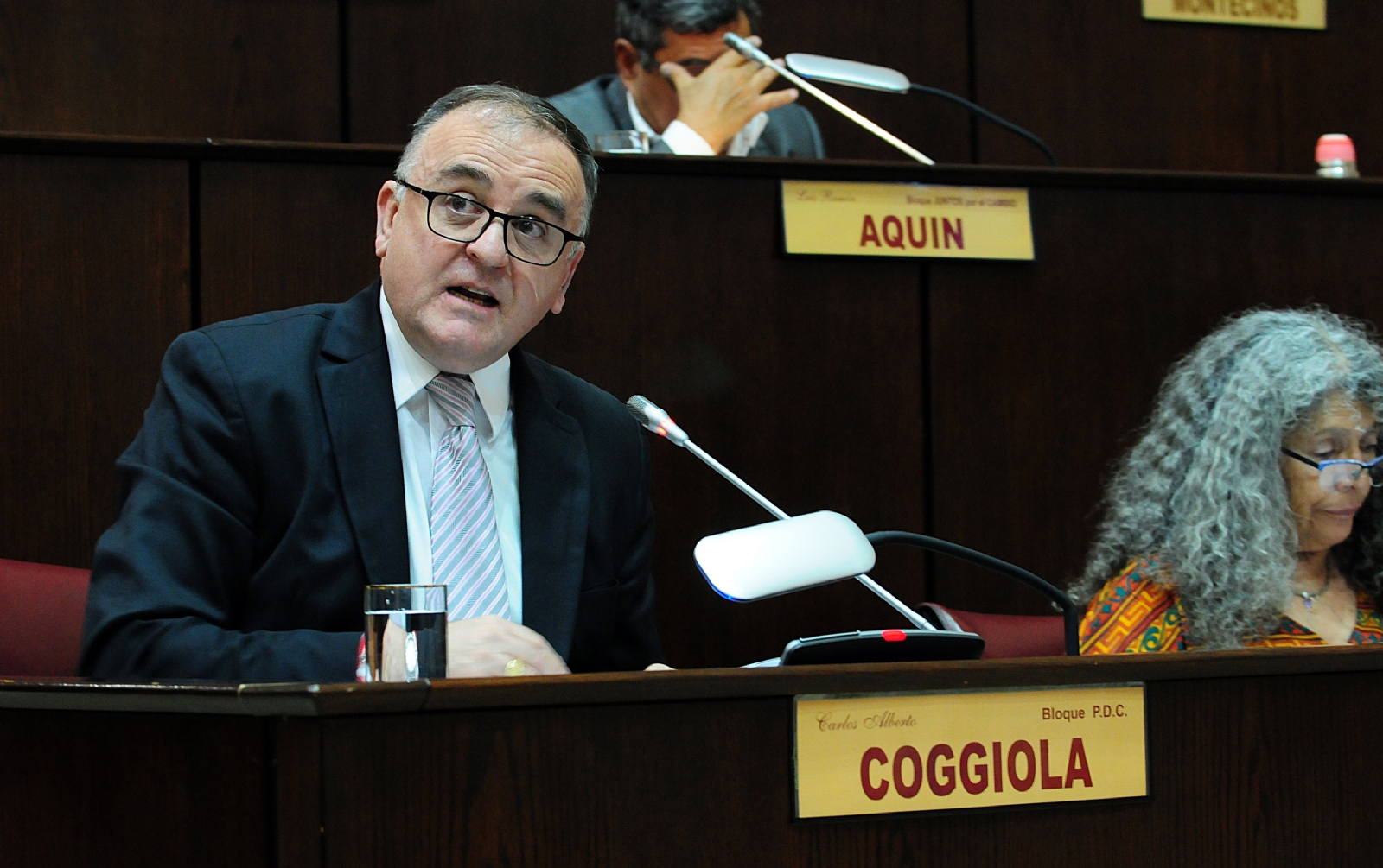 Diputado provincial del PDC, Carlos Coggiola