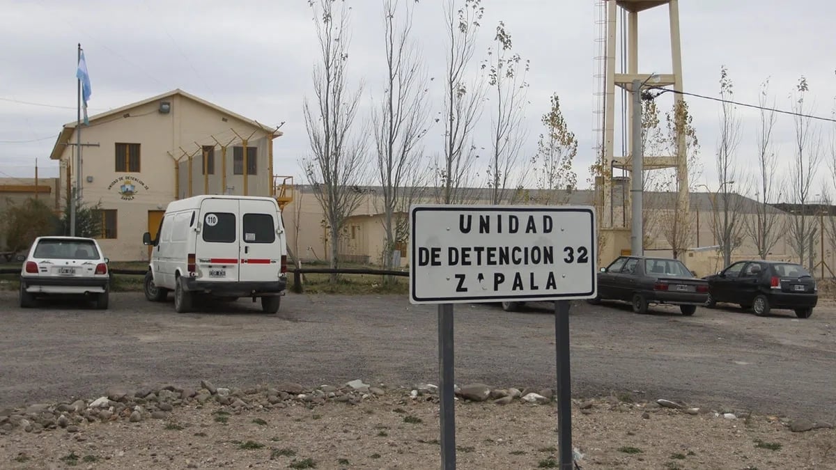 u32-zapala