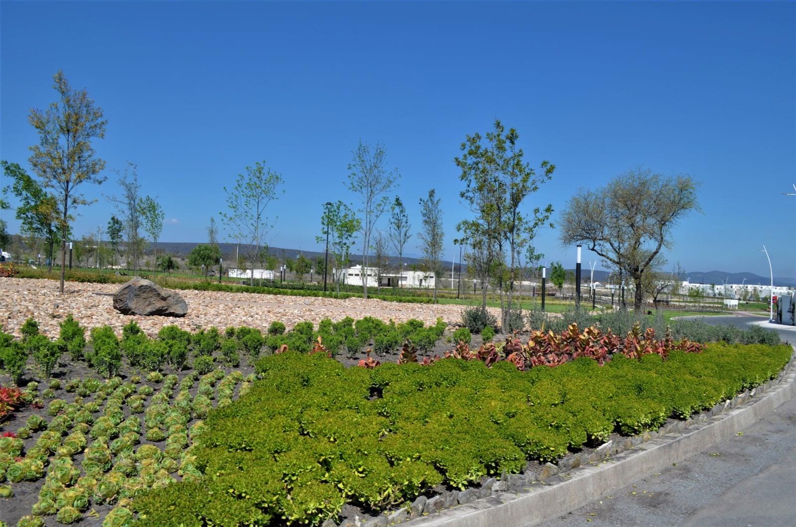 www.minutoneuquen.com.ar sucuparques00