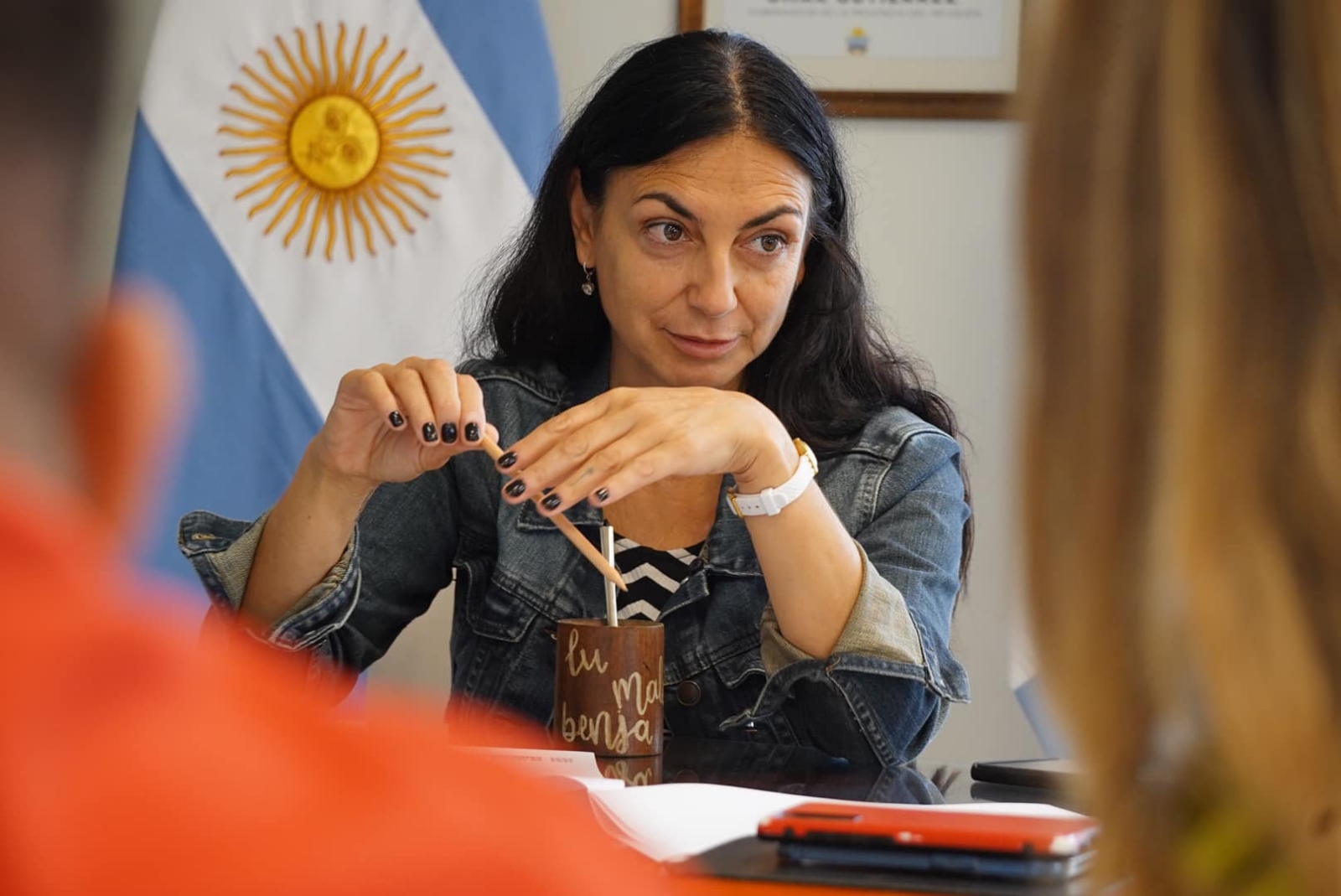 Ministra de Salud de Neuquén, Andrea Peve