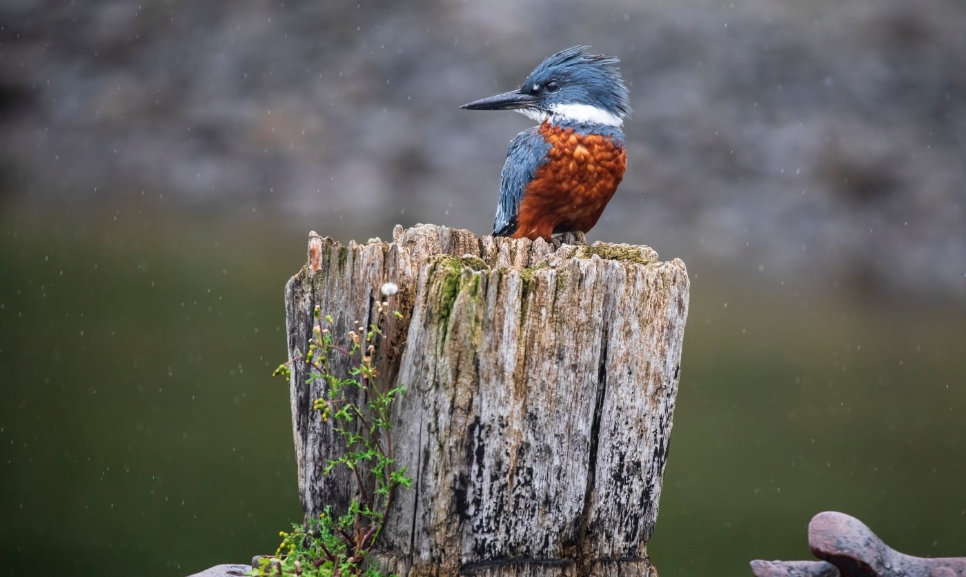 www.minutoneuquen.com.ar pescador5