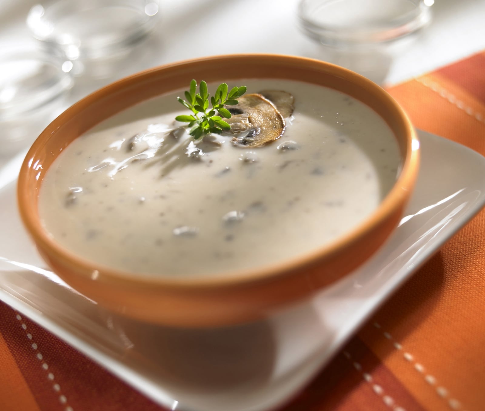 www.minutoneuquen.com.ar sopa4