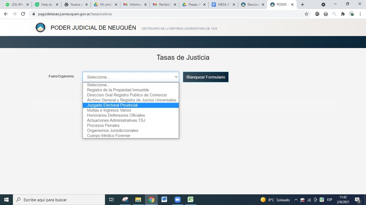 elecciones - justica electoral