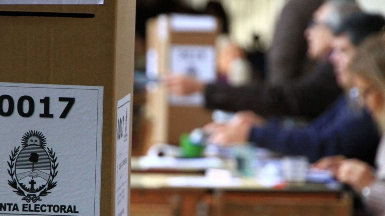 elecciones no voto el cronista