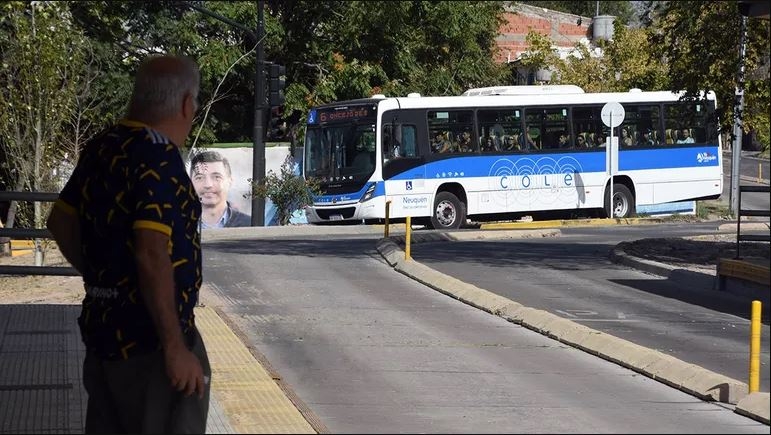 colectivos LMNeuquén