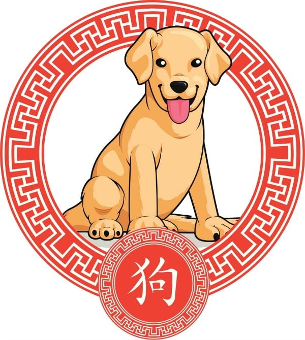 dog-euroresidentes