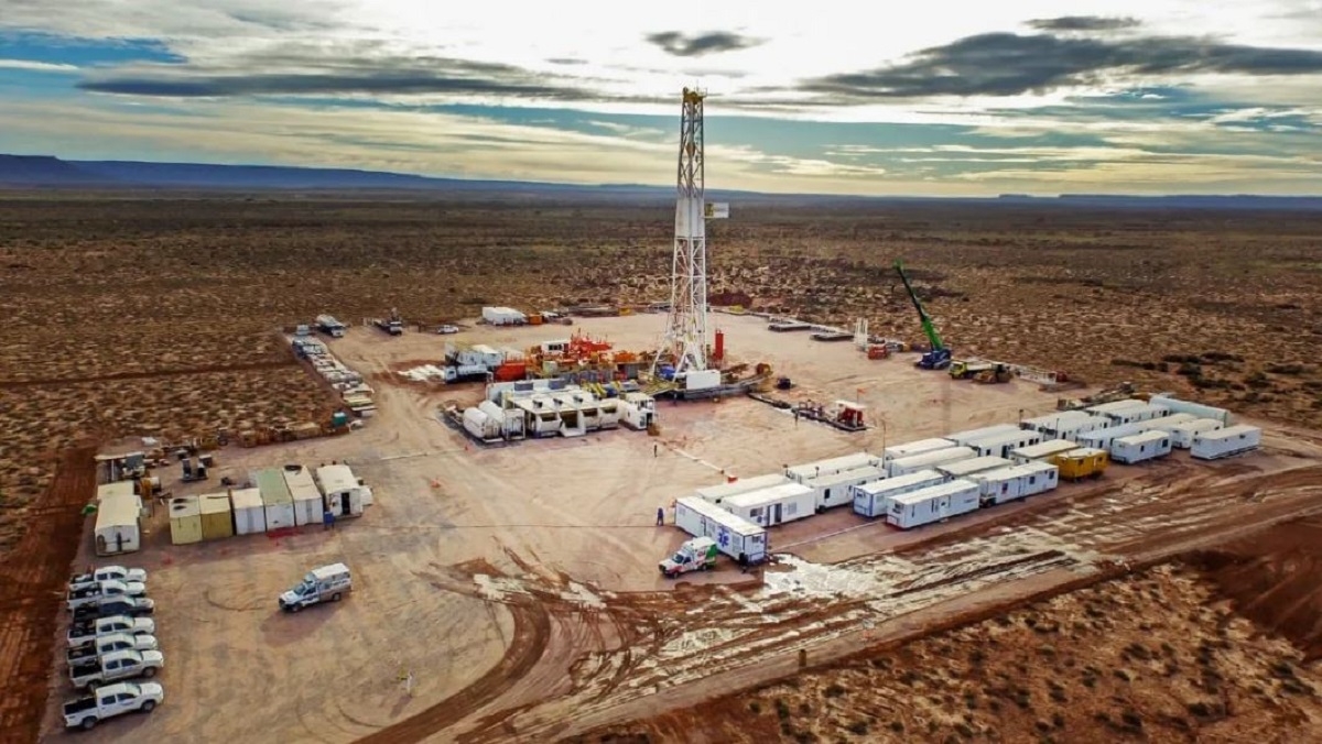vaca muerta energia