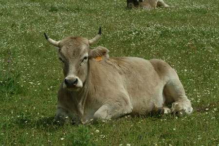 751719