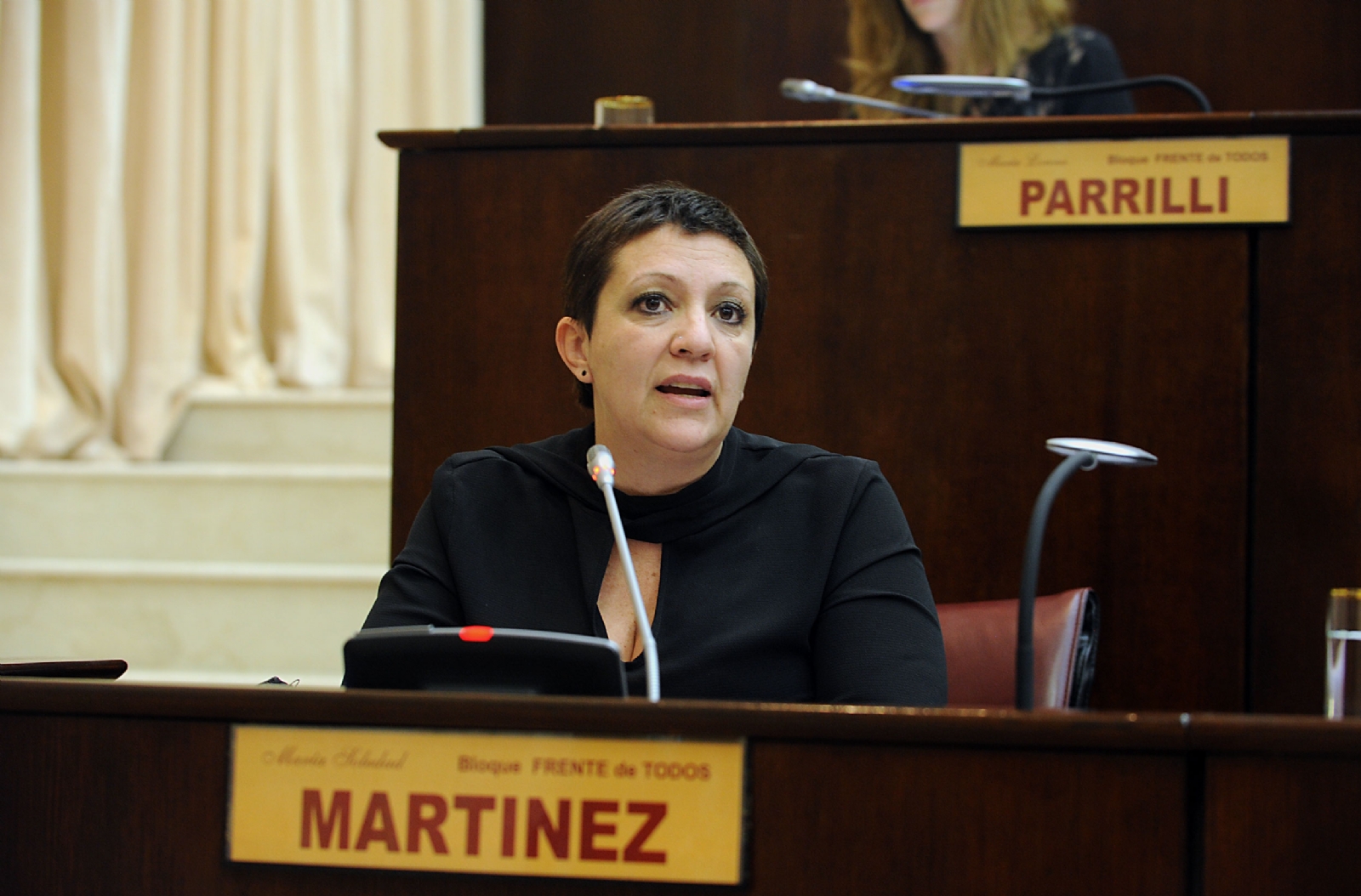 planes sociales - legislatura nqn 3