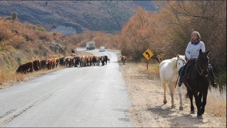 emergencia agropecuaria LMNqn