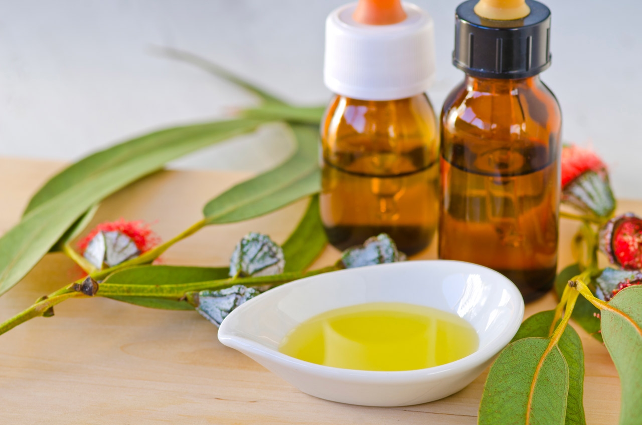 HomeServe_aceite_eucalipto_ahuyentar_mosquitos_insectos_hogar_verano_calor_moscas_avispas_remedio_natural_casero_01