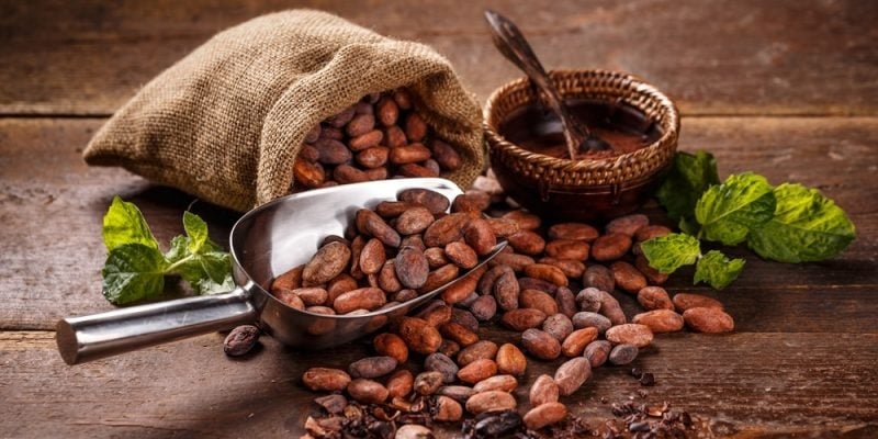 cacao-e1533849104648-800x400