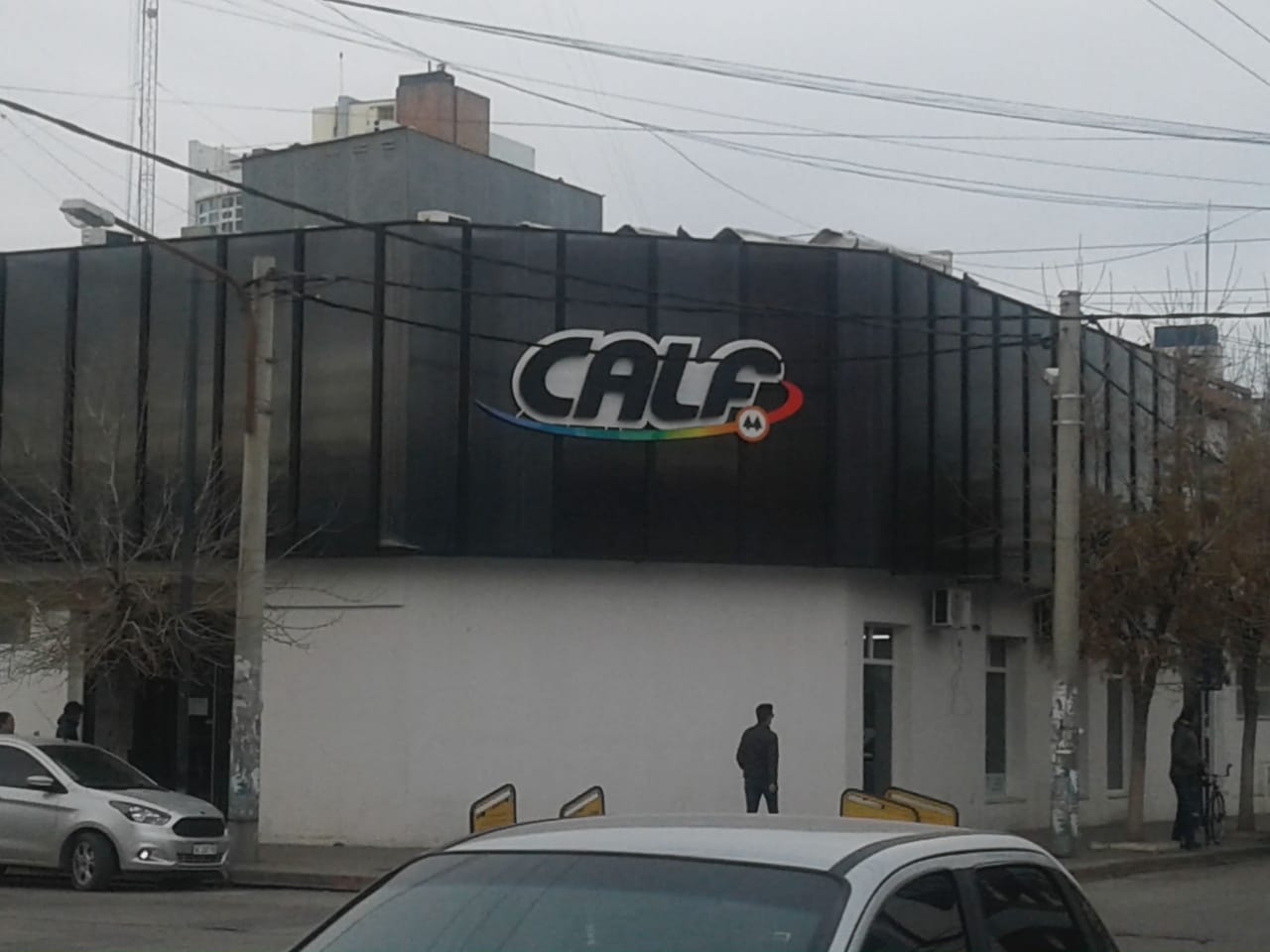calf ladris - CALF 2