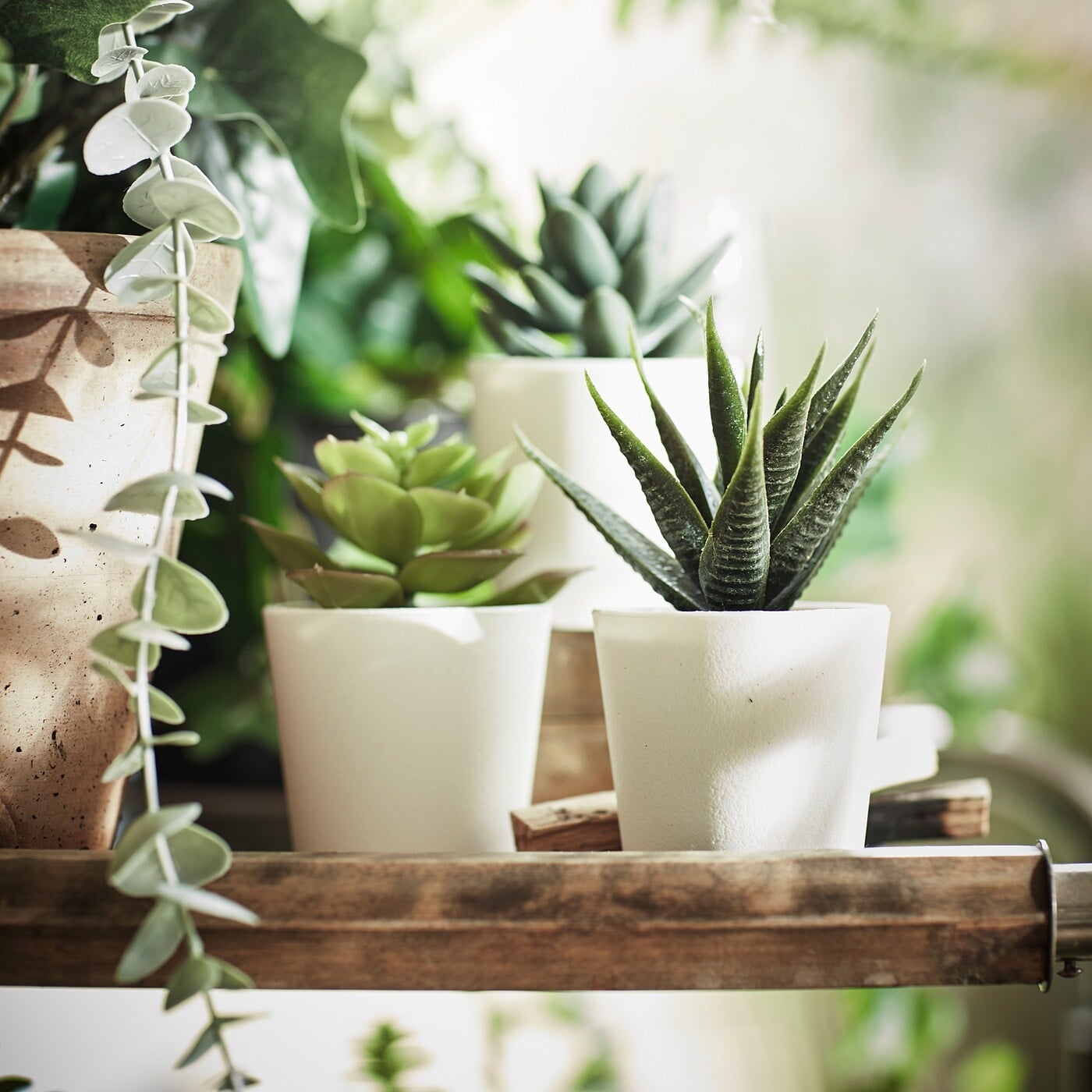 fejka-planta-artificial-interior-exterior-suculenta__0945926_pe797833_s5