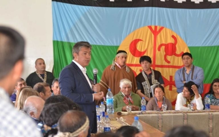 mapuches 2