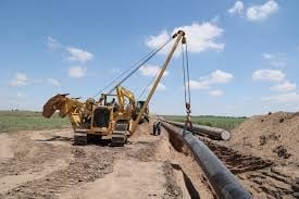 images - 2023-05-31T163011.562
