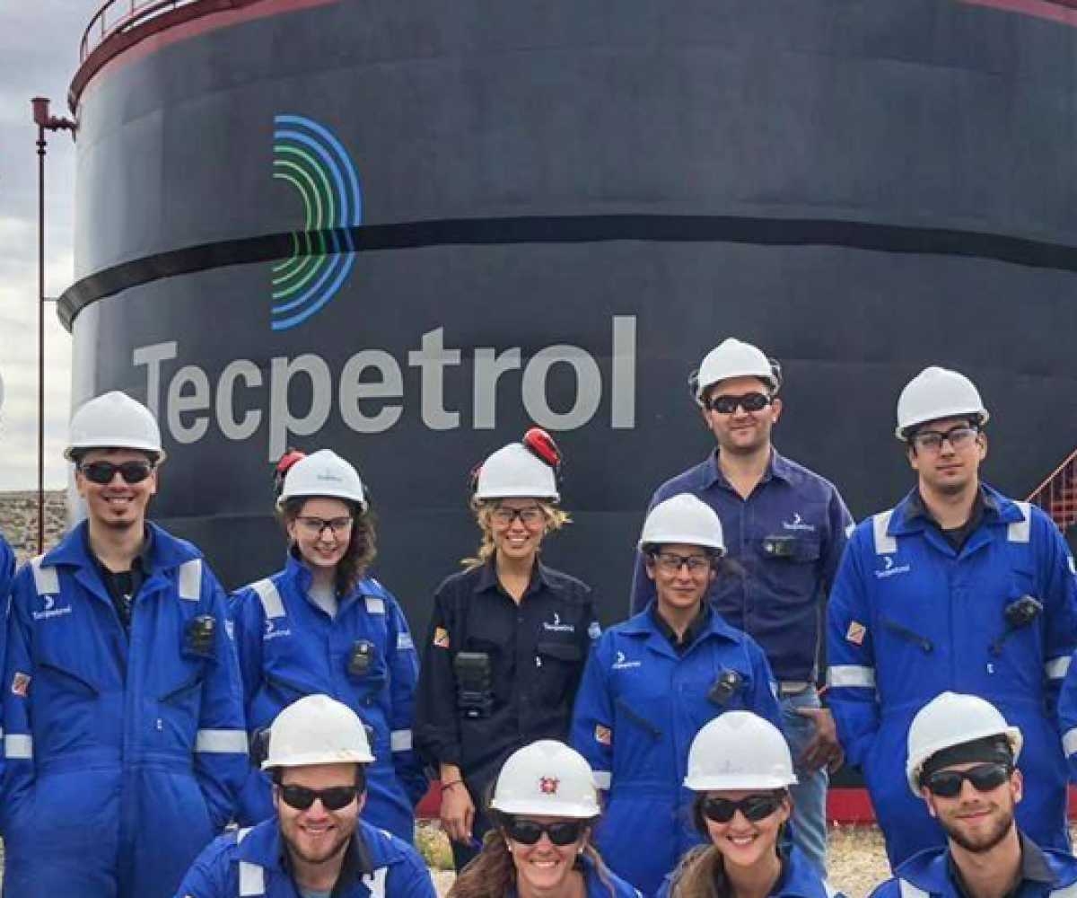 tecpetrol - ars technologies